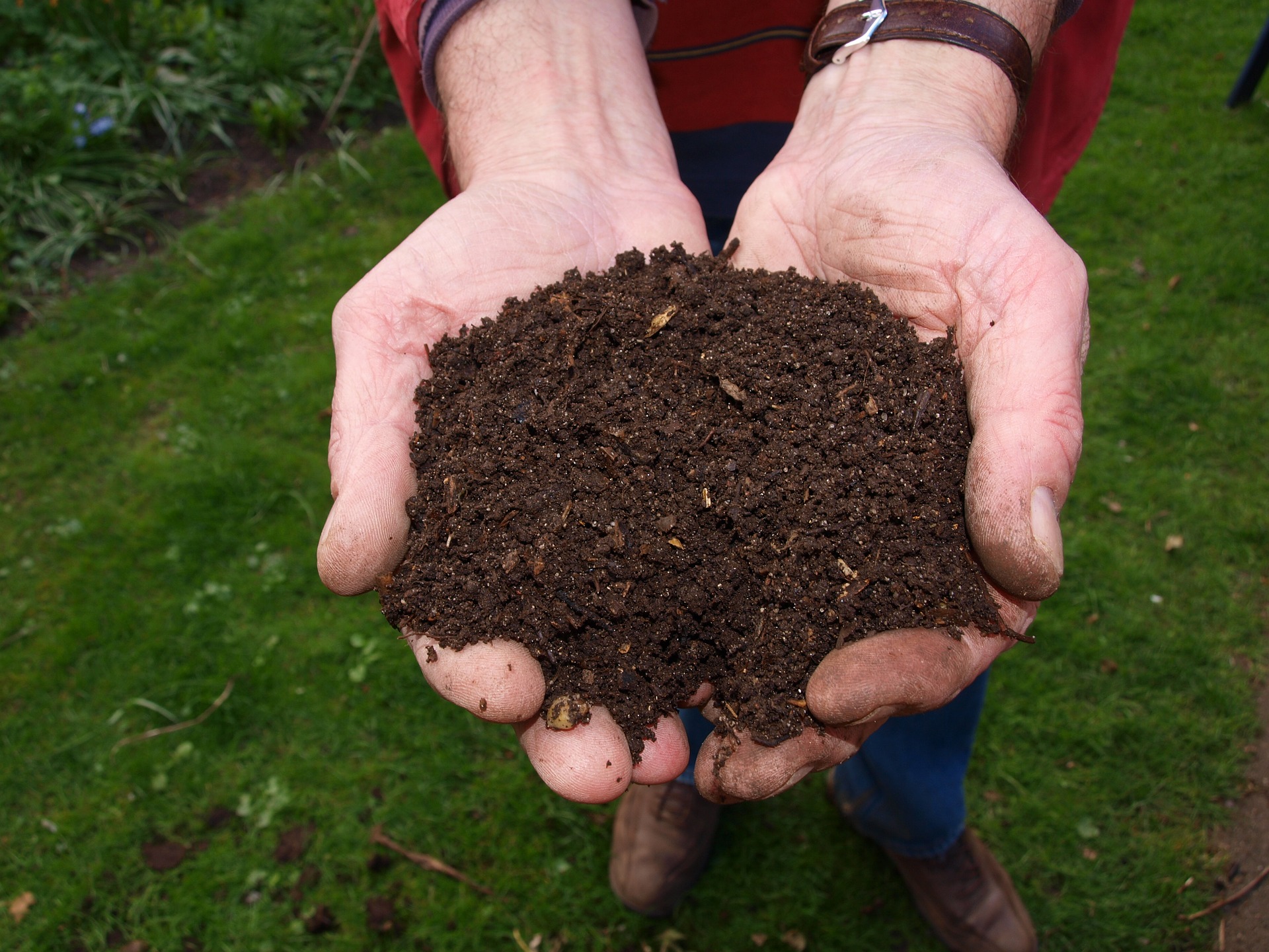 7 Tips to Start Composting Successfully at Home